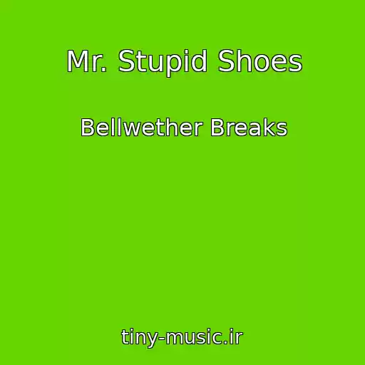 کاور آهنگ Mr. Stupid Shoes از Bellwether Breaks