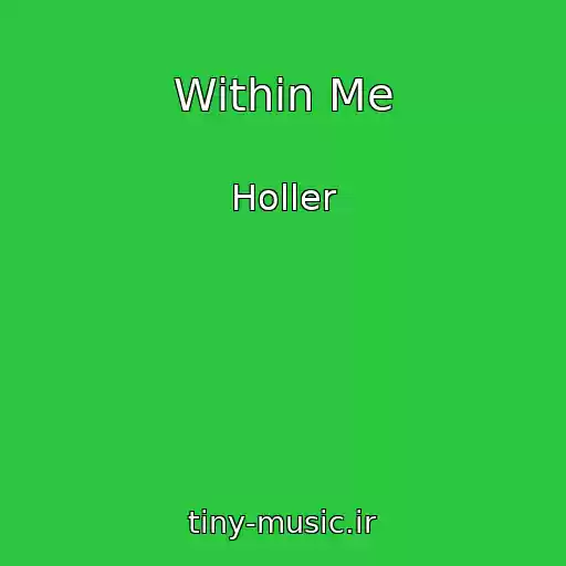 کاور آهنگ Within Me از Holler