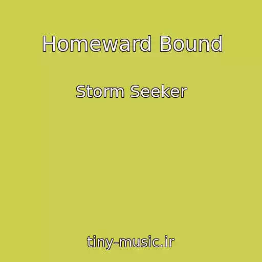 کاور آهنگ Homeward Bound از Storm Seeker