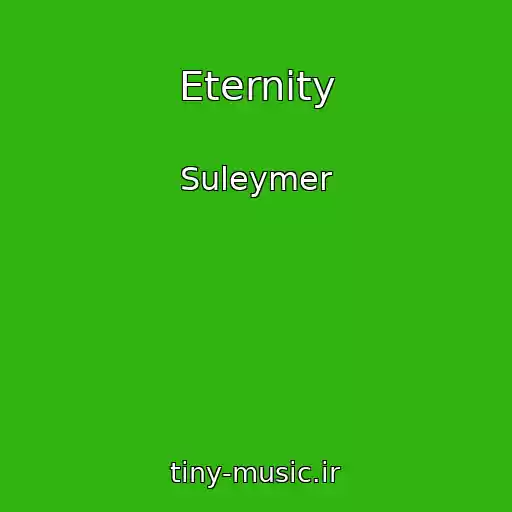 کاور آهنگ Eternity از Suleymer