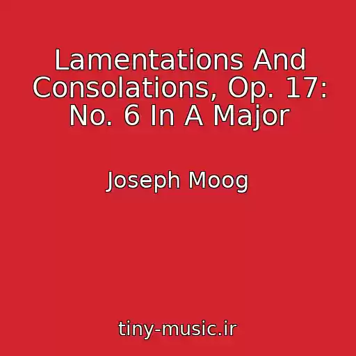 کاور آهنگ Lamentations And Consolations, Op. 17: No. 6 In A Major از Joseph Moog