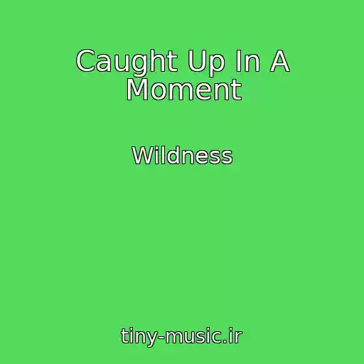 کاور آهنگ Caught Up In A Moment از Wildness