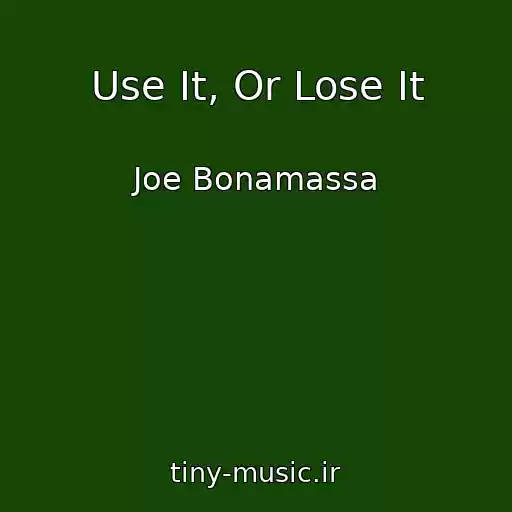 کاور آهنگ Use It, Or Lose It از Joe Bonamassa