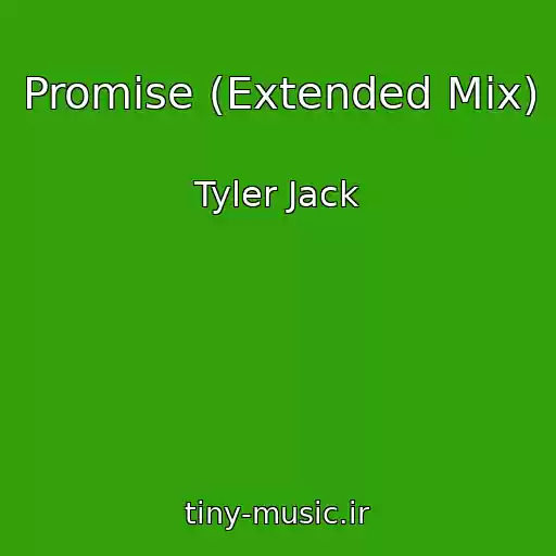 کاور آهنگ Promise (Extended Mix) از Tyler Jack