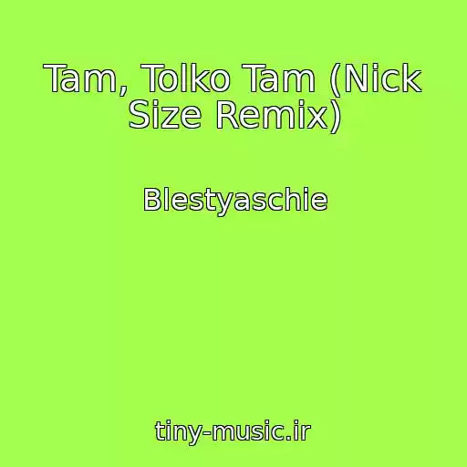 کاور آهنگ Tam, Tolko Tam (Nick Size Remix) از Blestyaschie