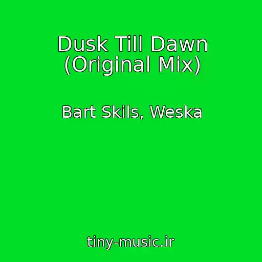 کاور آهنگ Dusk Till Dawn (Original Mix) از Bart Skils, Weska