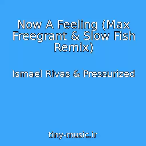 کاور آهنگ Now A Feeling (Max Freegrant & Slow Fish Remix) از Ismael Rivas & Pressurized