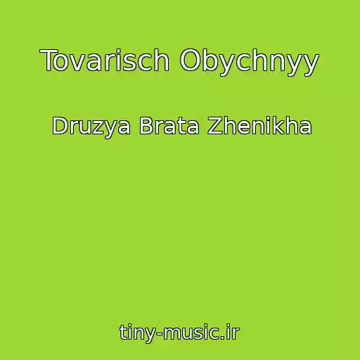کاور آهنگ Tovarisch Obychnyy از Druzya Brata Zhenikha