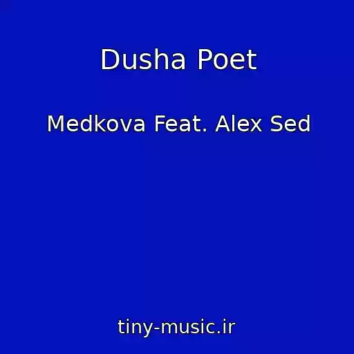 کاور آهنگ Dusha Poet از Medkova Feat. Alex Sed