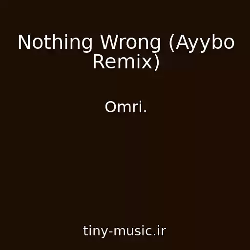 کاور آهنگ Nothing Wrong (Ayybo Remix) از Omri.