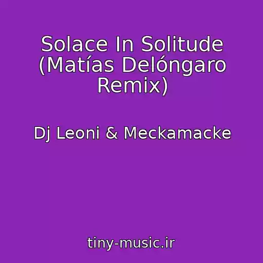 کاور آهنگ Solace In Solitude (Matías Delóngaro Remix) از Dj Leoni & Meckamacke