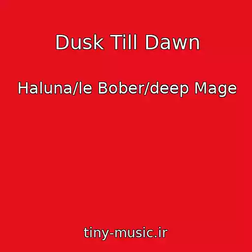 کاور آهنگ Dusk Till Dawn از Haluna/le Bober/deep Mage