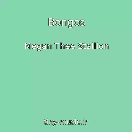 کاور آهنگ Bongos از Megan Thee Stallion
