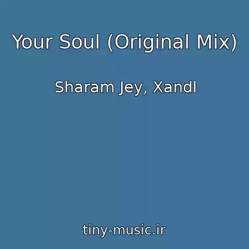 کاور آهنگ Your Soul (Original Mix) از Sharam Jey, Xandl
