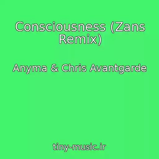 کاور آهنگ Consciousness (Zans Remix) از Anyma & Chris Avantgarde