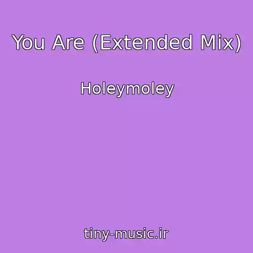 کاور آهنگ You Are (Extended Mix) از Holeymoley