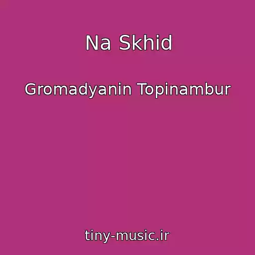 کاور آهنگ Na Skhіd از Gromadyanin Topіnambur