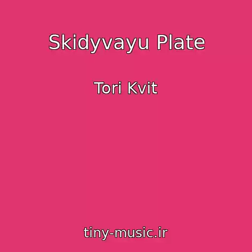 کاور آهنگ Skidyvayu Plate از Tori Kvit