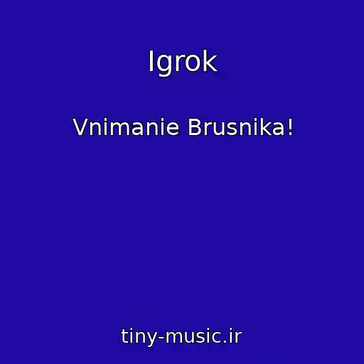 کاور آهنگ Igrok از Vnimanie Brusnika!