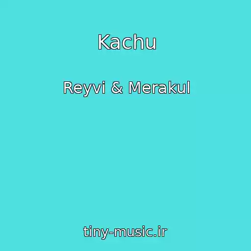 کاور آهنگ Kachu از Reyvi & Merakul