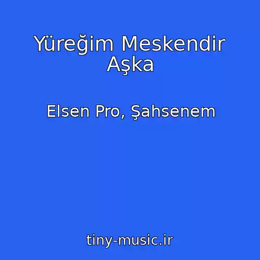 کاور آهنگ Yüreğim Meskendir Aşka از Elsen Pro, Şahsenem