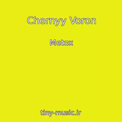 کاور آهنگ Chernyy Voron از Metox