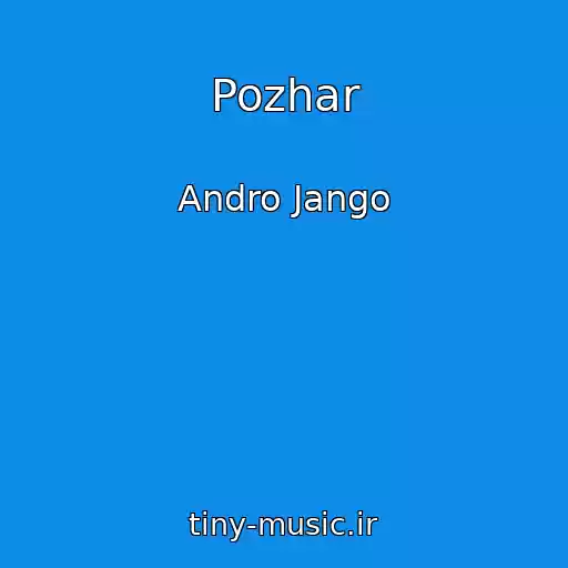 کاور آهنگ Pozhar از Andro Jango