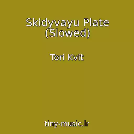 کاور آهنگ Skidyvayu Plate (Slowed) از Tori Kvit