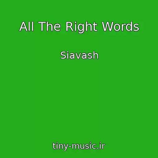 کاور آهنگ All The Right Words از Siavash