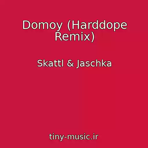 کاور آهنگ Domoy (Harddope Remix) از Skattl & Jaschka