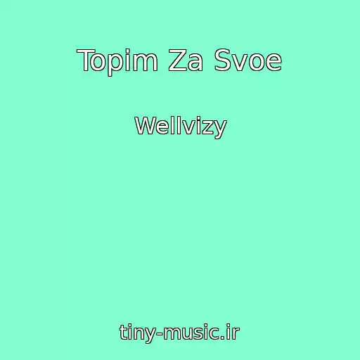 کاور آهنگ Topim Za Svoe از Wellvizy