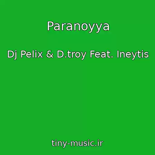 کاور آهنگ Paranoyya از Dj Pelix & D.troy Feat. Ineytis