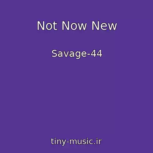 کاور آهنگ Not Now New از Savage-44