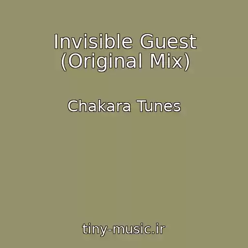 کاور آهنگ Invisible Guest (Original Mix) از Chakara Tunes
