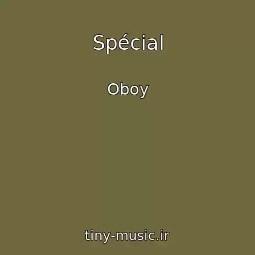 کاور آهنگ Spécial از Oboy