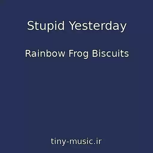 کاور آهنگ Stupid Yesterday از Rainbow Frog Biscuits