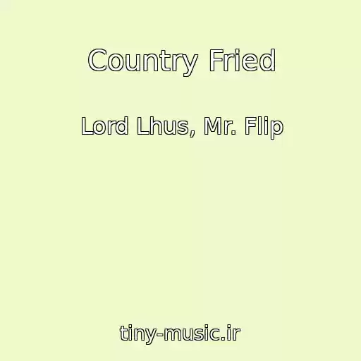کاور آهنگ Country Fried از Lord Lhus, Mr. Flip