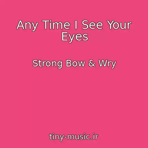 کاور آهنگ Any Time I See Your Eyes از Strong Bow & Wry