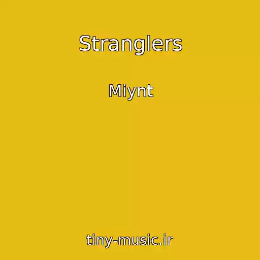 کاور آهنگ Stranglers از Miynt