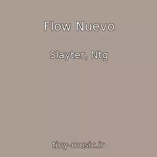 کاور آهنگ Flow Nuevo از Slayter, Ntg