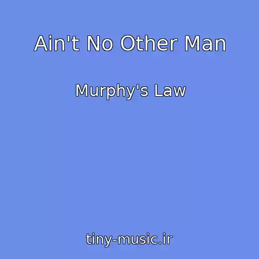 کاور آهنگ Ain't No Other Man از Murphy's Law