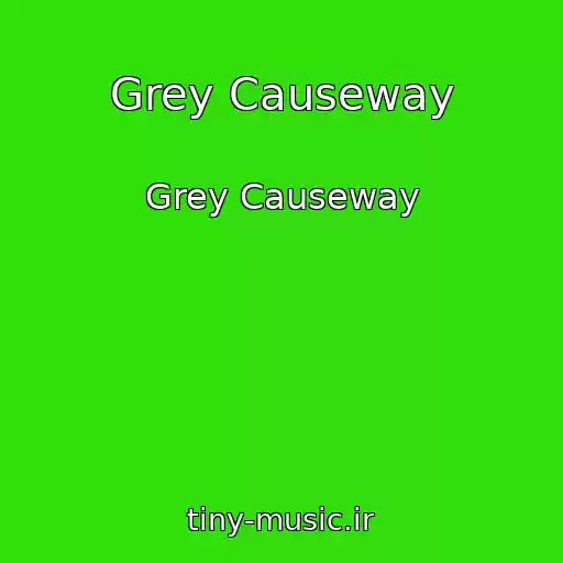 کاور آهنگ Grey Causeway از Grey Causeway