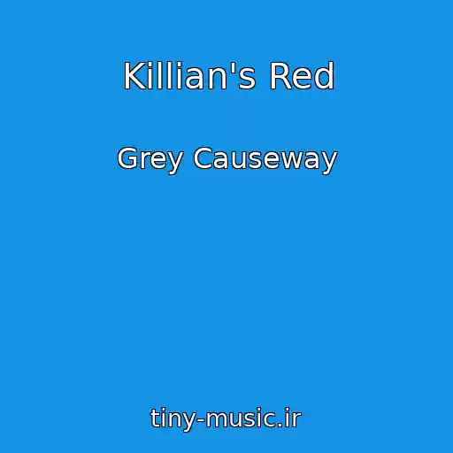 کاور آهنگ Killian's Red از Grey Causeway