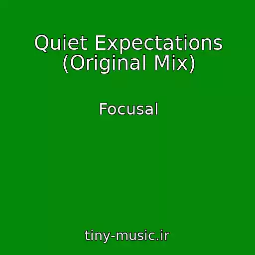 کاور آهنگ Quiet Expectations (Original Mix) از Focusal