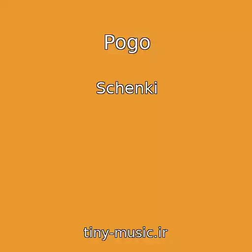 کاور آهنگ Pogo از Schenki