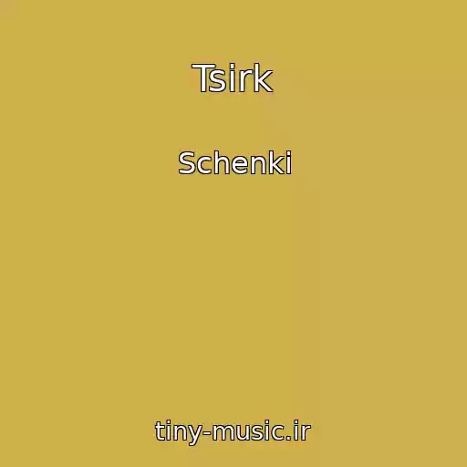 کاور آهنگ Tsirk از Schenki