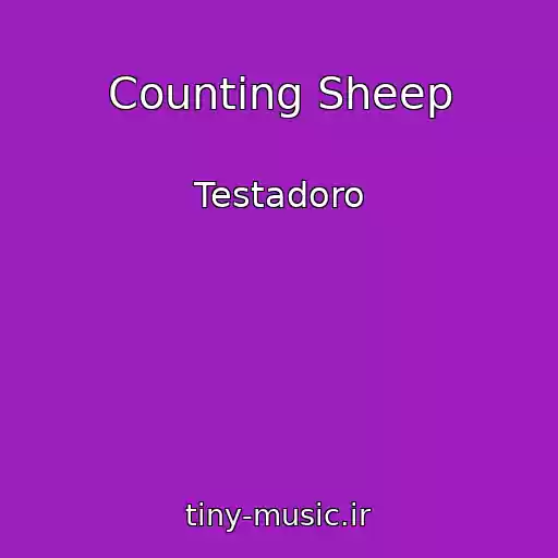 کاور آهنگ Counting Sheep از Testadoro