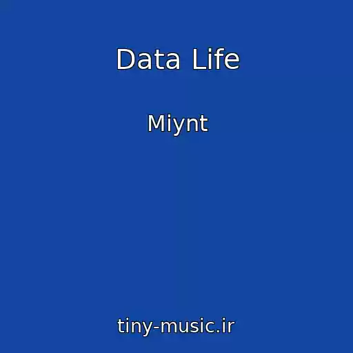 کاور آهنگ Data Life از Miynt