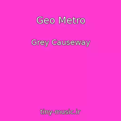 کاور آهنگ Geo Metro از Grey Causeway