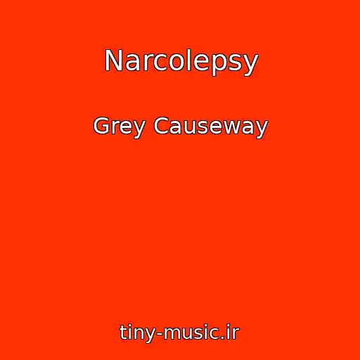 کاور آهنگ Narcolepsy از Grey Causeway